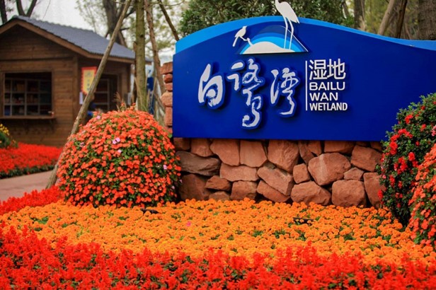 8、成都市锦江区环城生态区白鹭溪生态湿地公园水利工程03.jpg